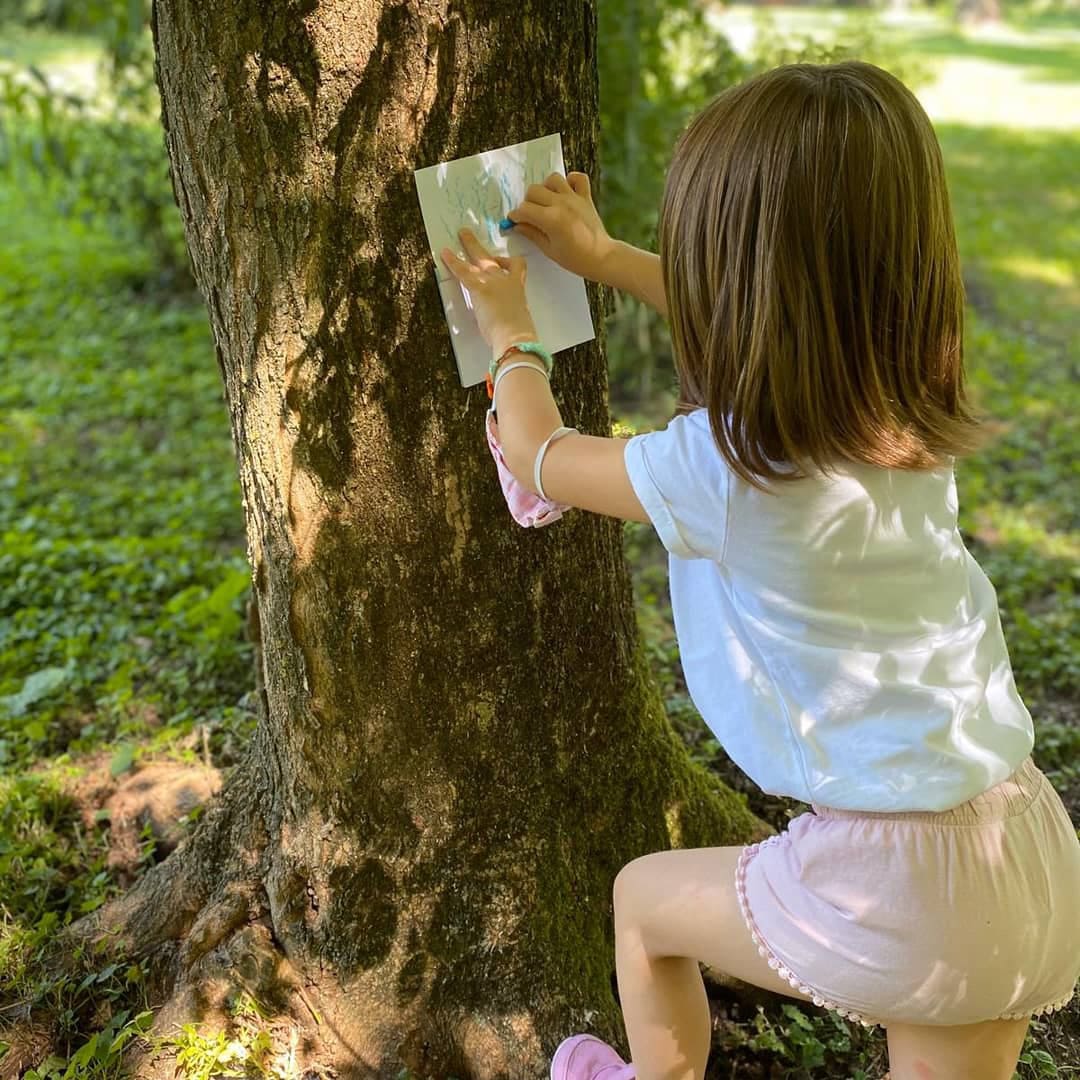 scuola-primaria-calco-corteccia-parco-menago