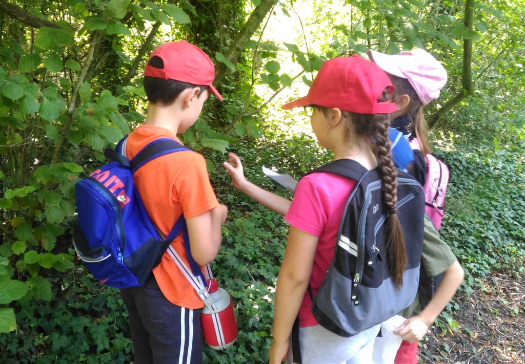 scuola-secondaria-natura-parco-menago