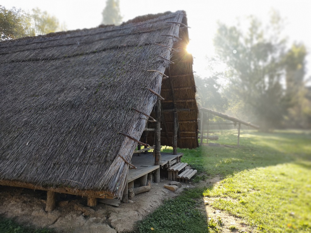 Visite guidate ed attività didattica al villaggio preistorico!